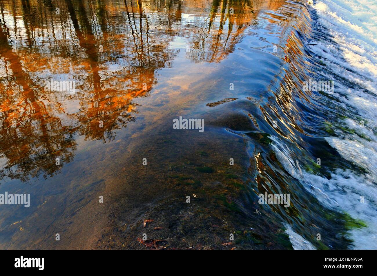 Sunlight at the river Stock Photo