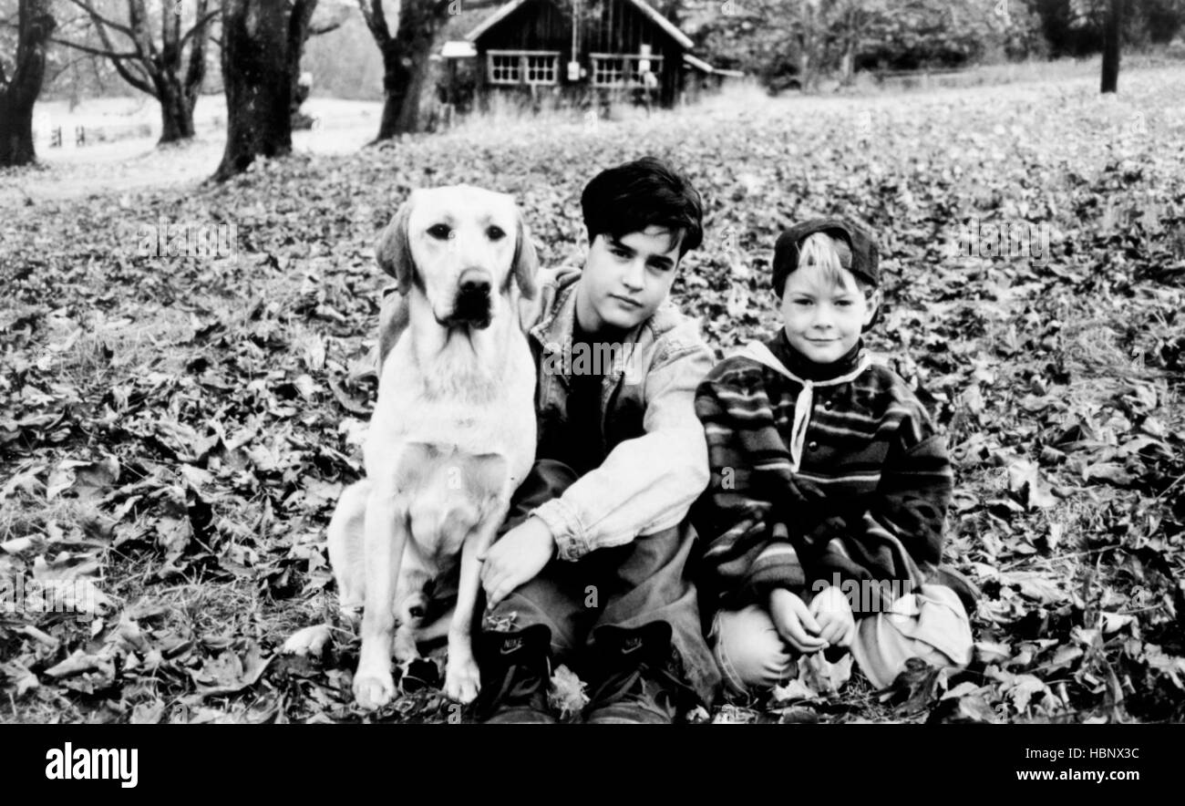 FAR FROM HOME THE ADVENTURES OF YELLOW DOG, from left, Jesse Bradford