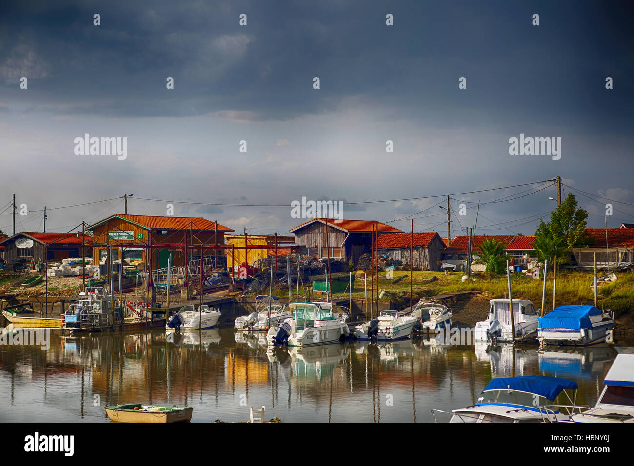 la teste de buch Stock Photo Alamy