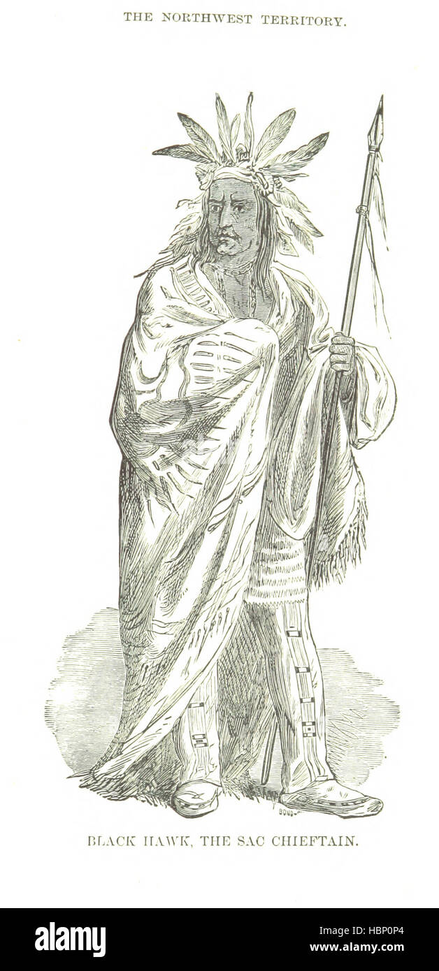 The History of Des Moines County, Iowa, containing a history of the