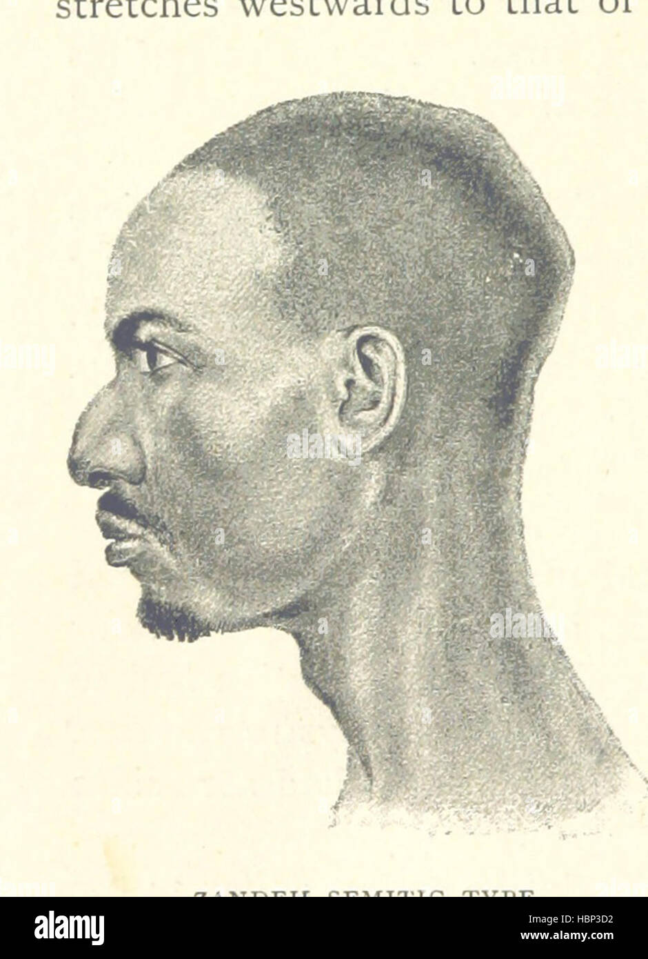 Image taken from page 262 of 'Travels in Africa during the years 1875-1878 (1879-1883-1882-1886) ... Translated from the German by A. H. Keane ... Illustrated' Image taken from page 262 of 'Travels in Africa during Stock Photo
