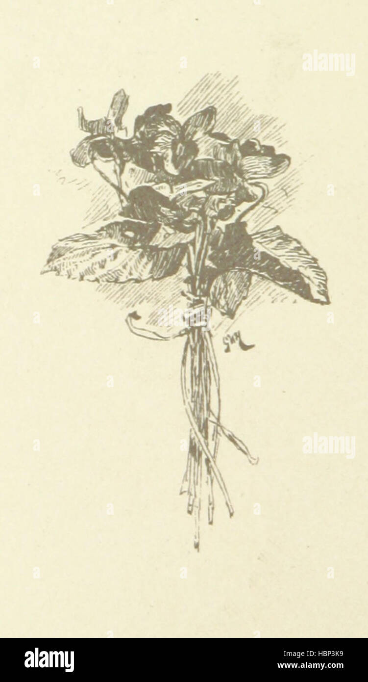 Image taken from page 20 of '[Elegy written in a country churchyard. (The Westminster edition.-With an hitherto omitted stanza.)]' Image taken from page 20 of '[Elegy written in a Stock Photo