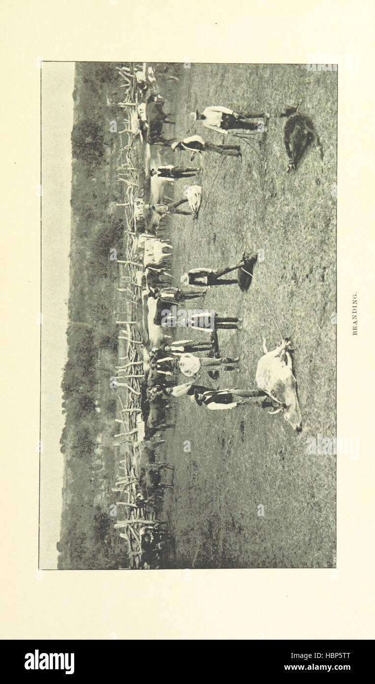 Texan Ranch People This image from 'Texan Ranch Life' depicts ranch landscapes, livestock ...