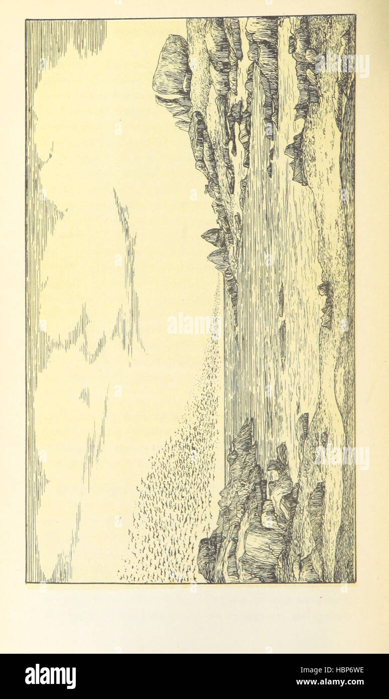 Image taken from page 20 of 'The Cruise of the Freak. A narrative of a visit to the islands in Bass and Banks Straits, with some account of the islands ... With illustrations and chart' Image taken from page 20 of 'The Cruise of the Stock Photo