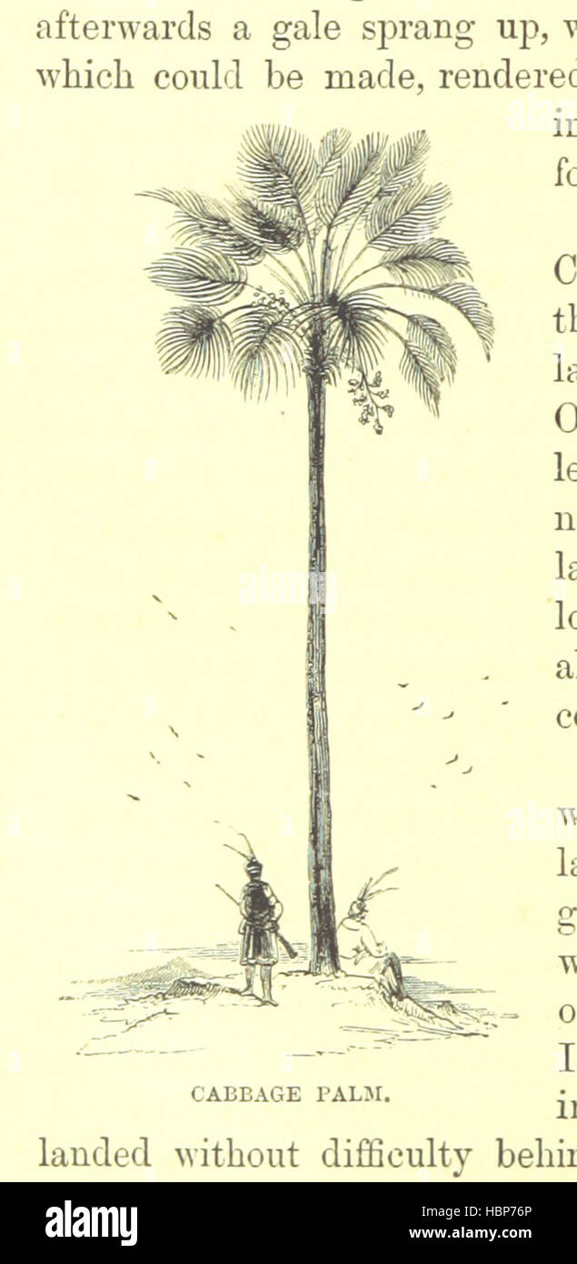 This image from page 220 of 'Captain Cook: His Life' depicts Captain ...