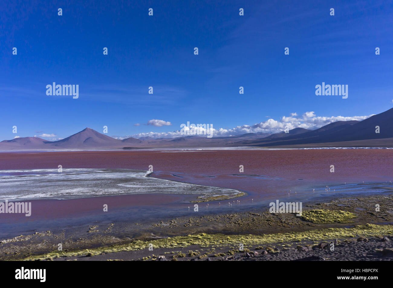 Red Lake, Bolivia, South America Stock Photo - Alamy