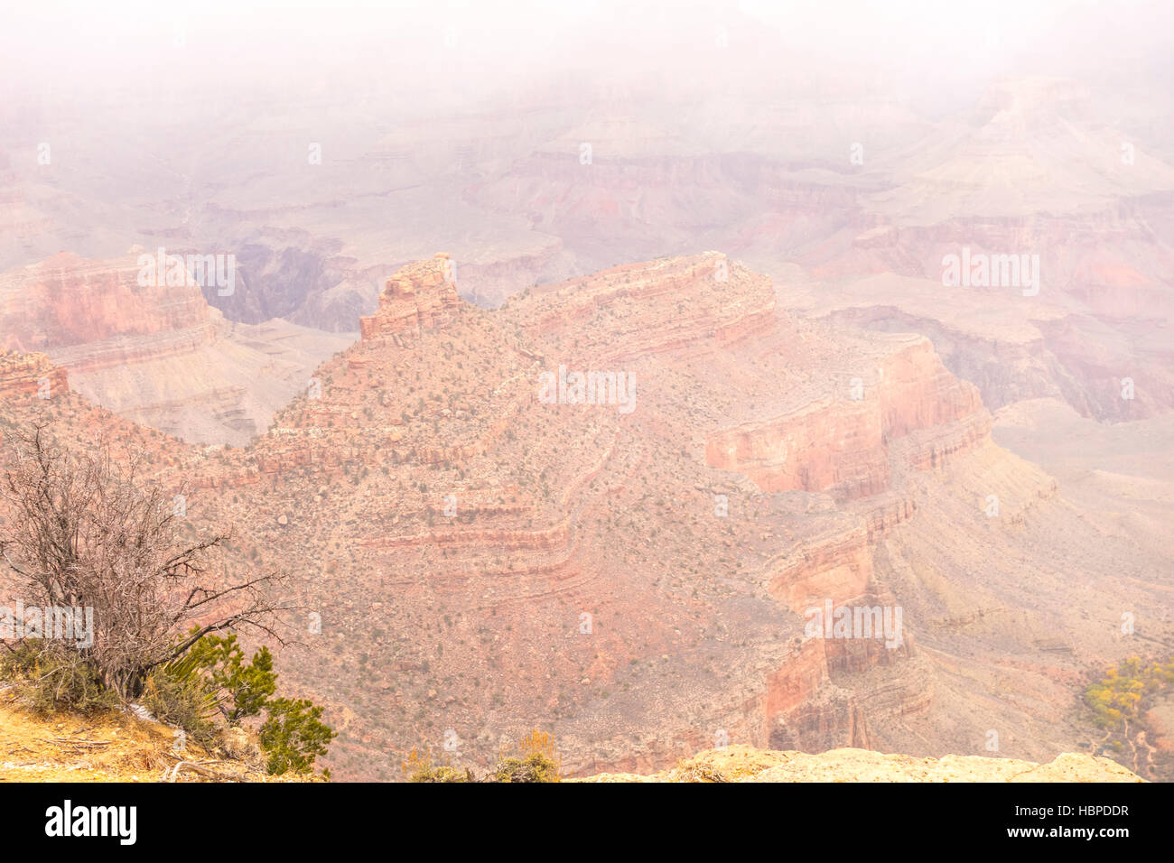 Grand Canyon National Park in Arizona, USA Stock Photo