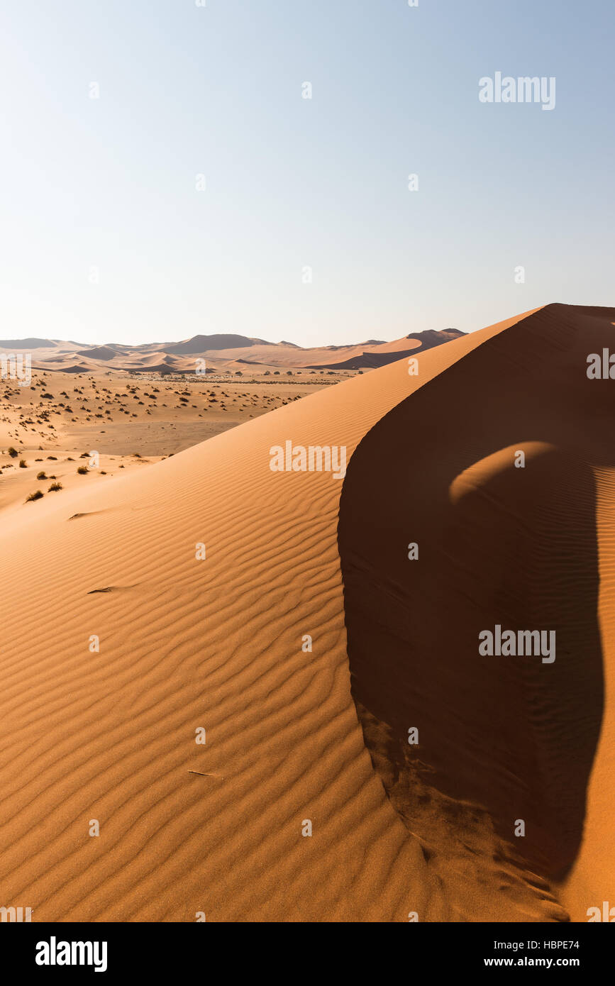 Scenic ridges of sand dunes in Sossusvlei, Namib Naukluft National Park ...