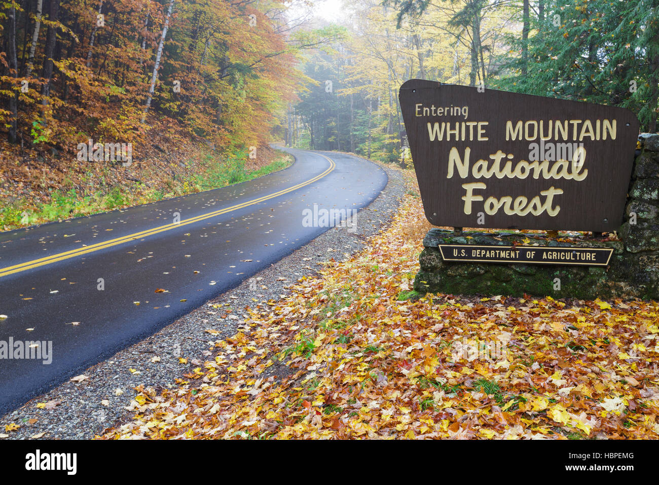 Entering the White Mountain National Forest sign along Tripoli Road in