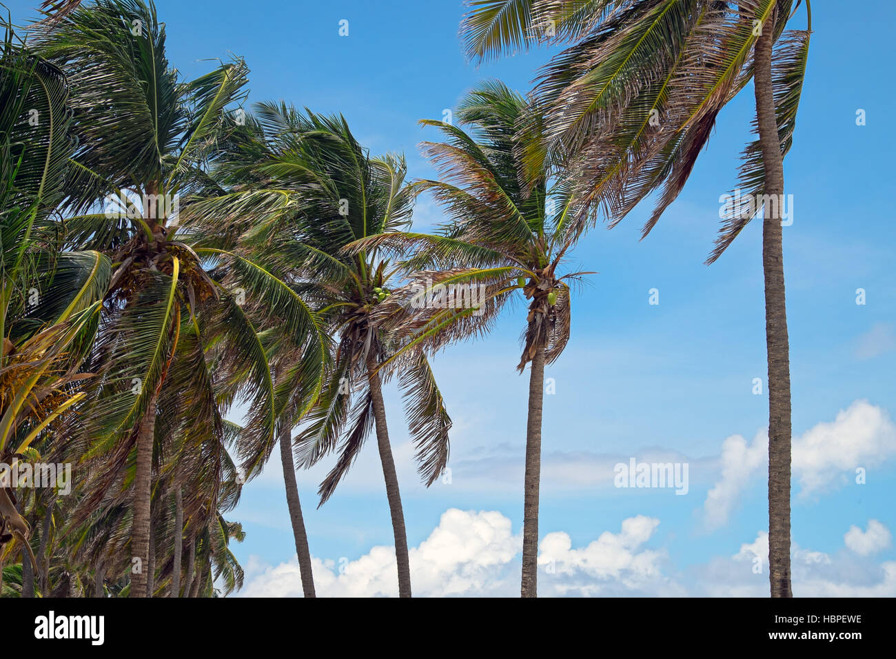 The beauty of the tropical Island San Andrés, Colombia Stock Photo Alamy