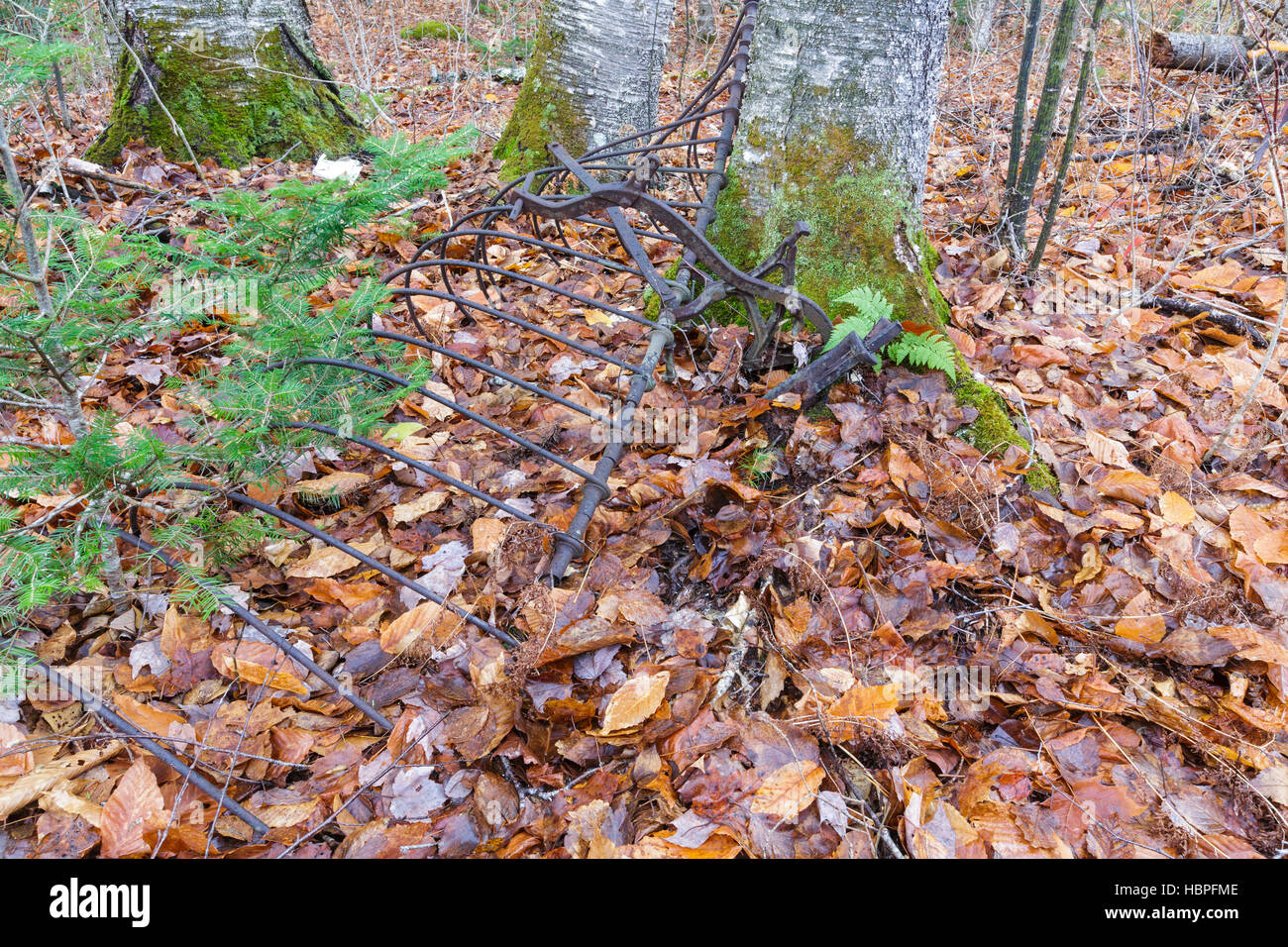 Remnants of an old hay rake at Thornton Gore in Thornton, New Hampshire