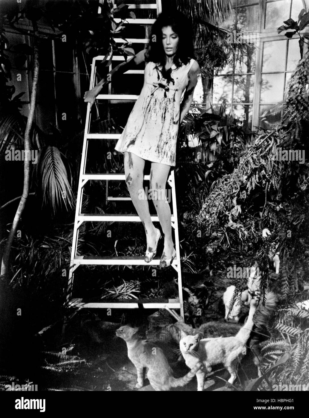 EYE OF THE CAT, Gayle Hunnicutt, 1969 Stock Photo - Alamy