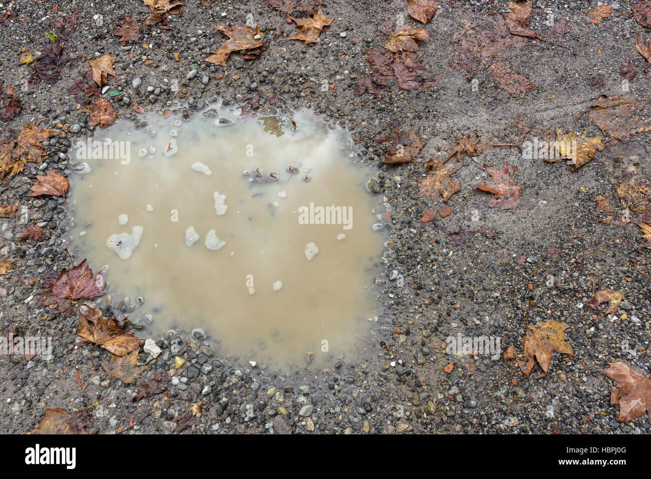 Puddle of rain Stock Photo - Alamy