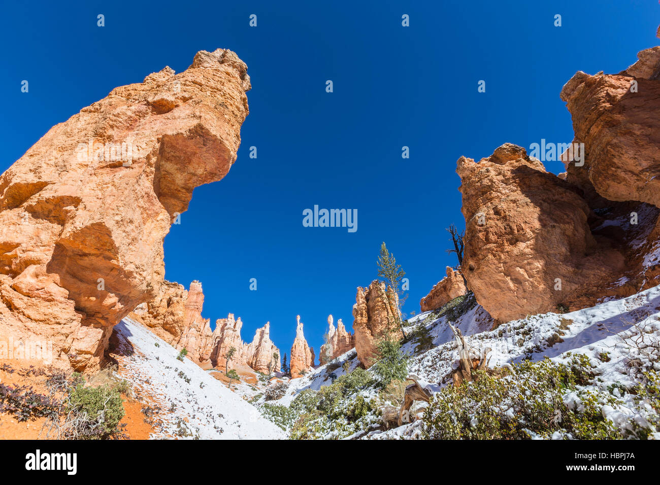 Hoodoo formations and frosty ground at Bryce Canyon National Park in Southern Utah. Stock Photo