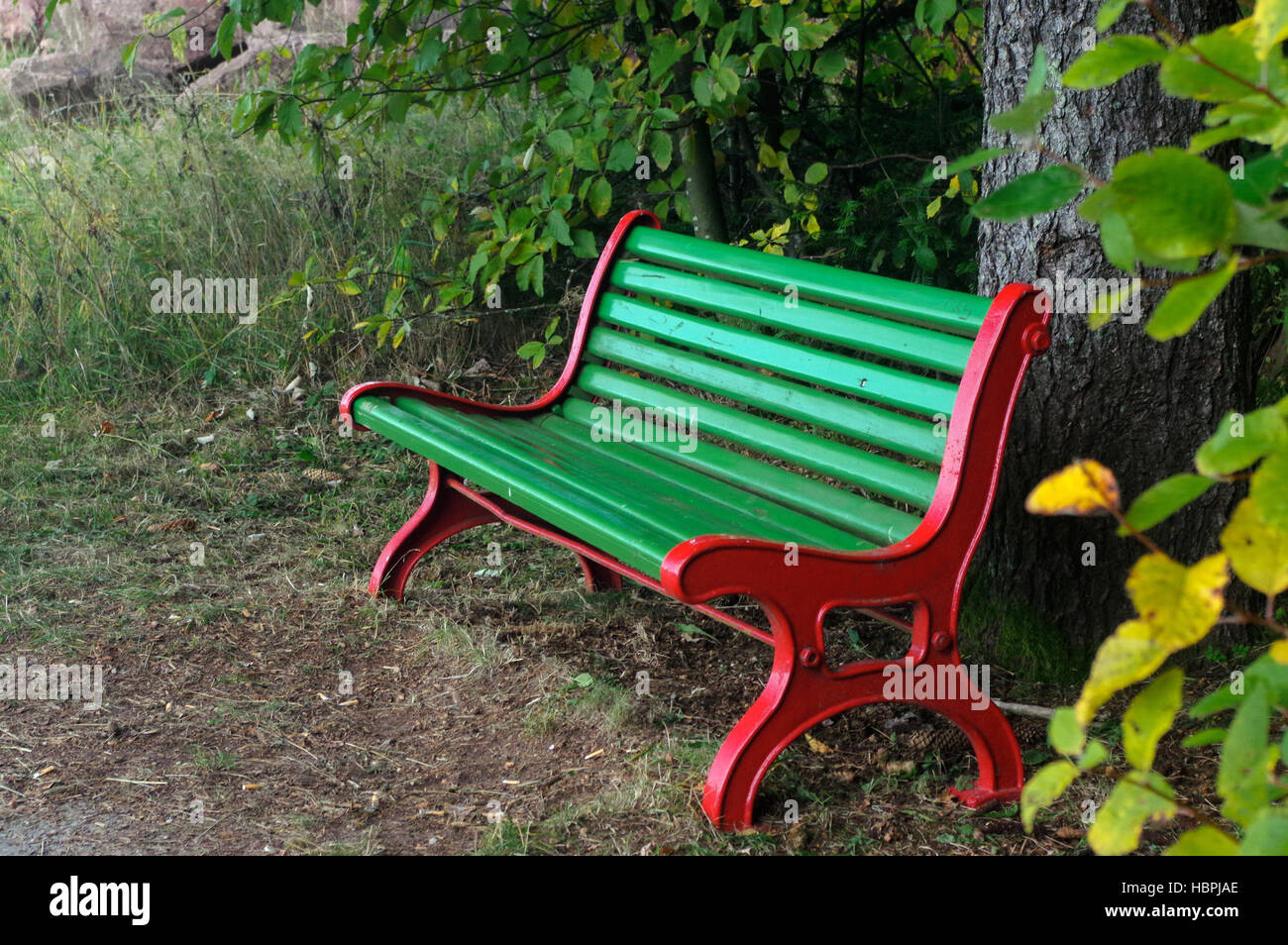 Wooden park bench under trees in the forest Stock Photo Alamy