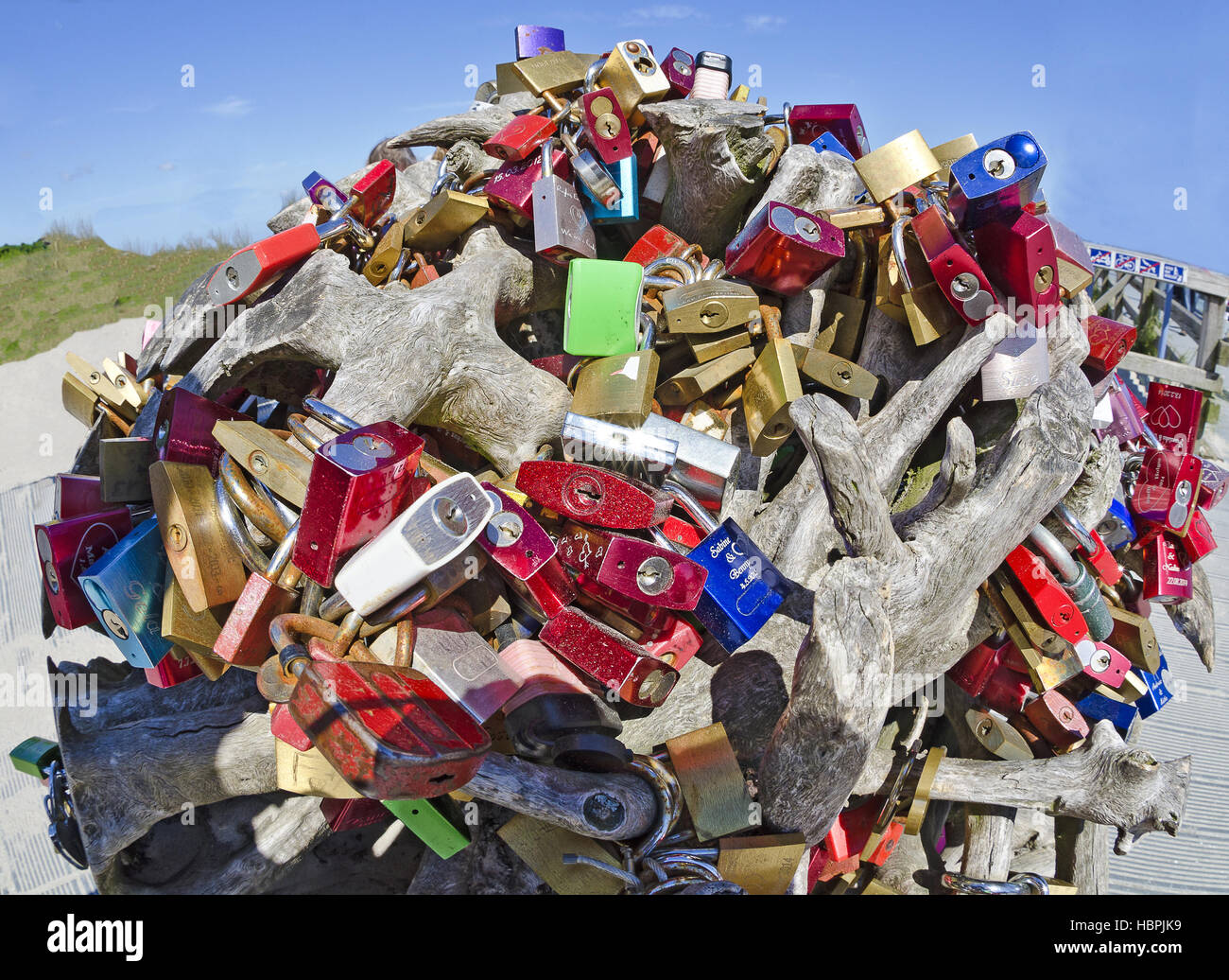 rootstalk with many different padlocks Stock Photo