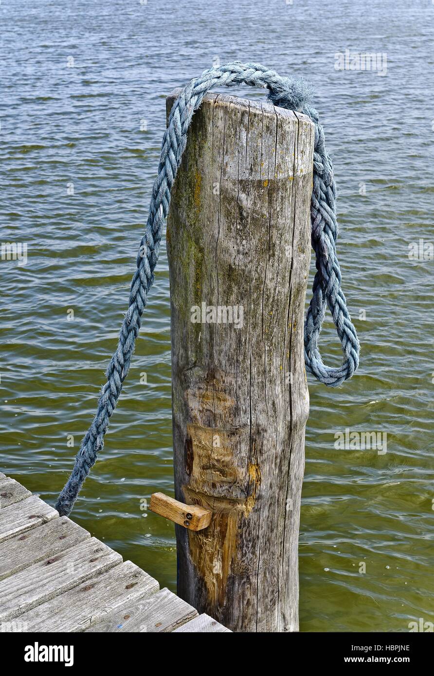 wooden stake and blue rope Stock Photo