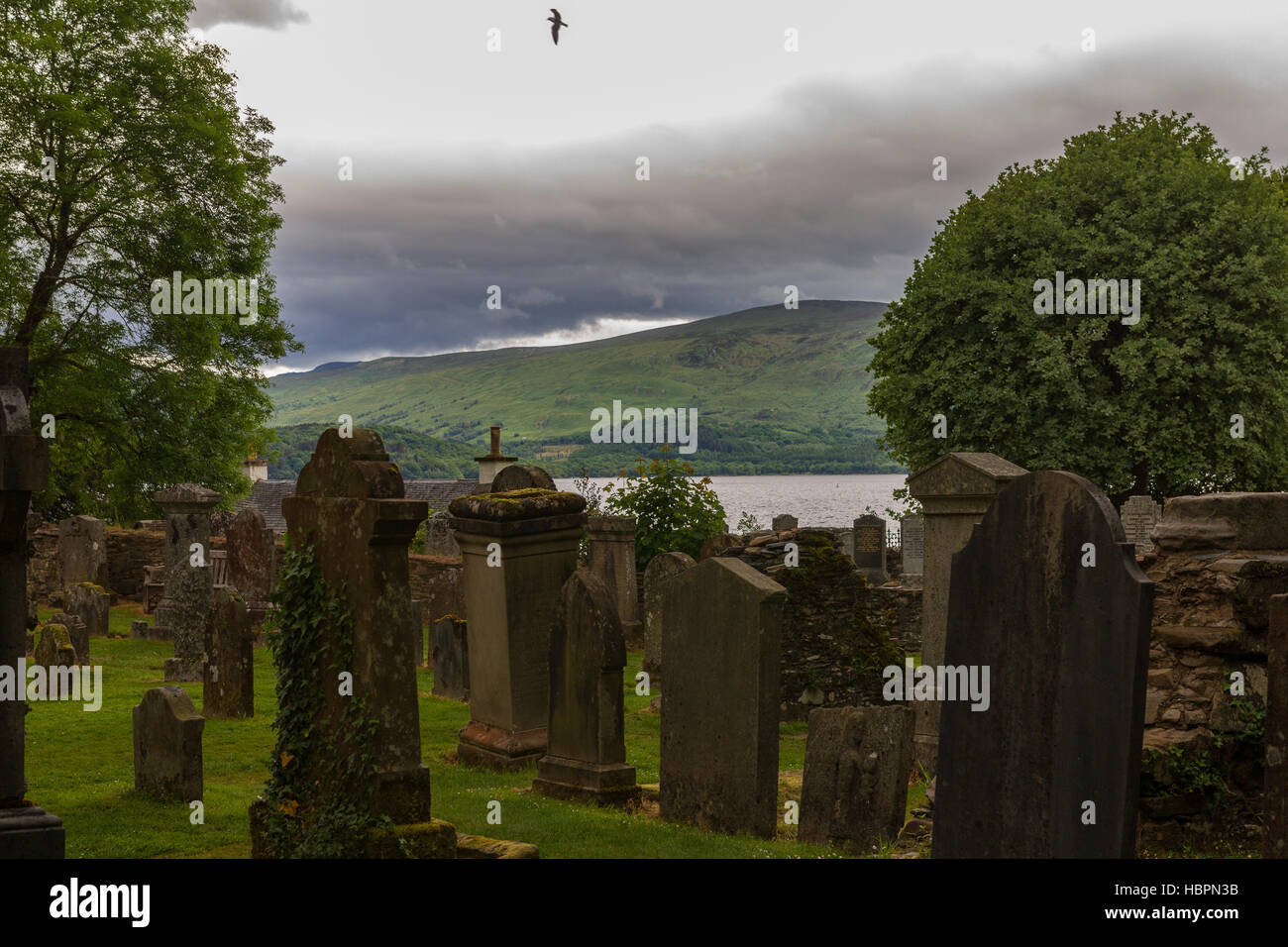 Tombstones in cemetery with flying bird and lake in background, in Luss parish church yard in Scotland Stock Photo