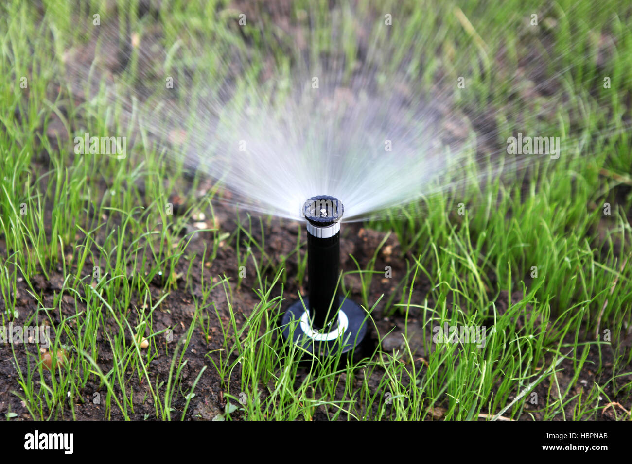 sprinkler of automatic watering Stock Photo Alamy