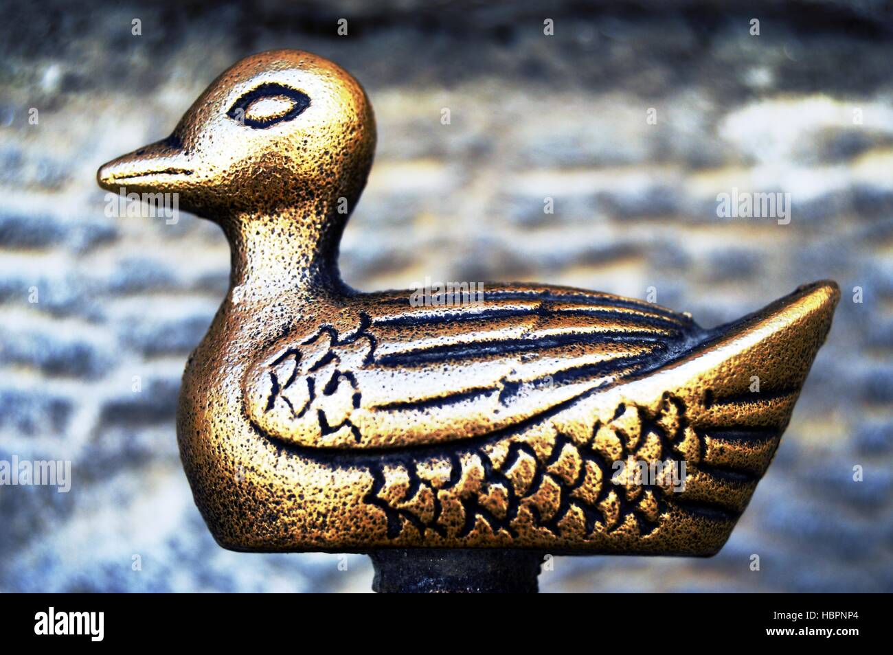 Watch Free Porn Sex Duck Anglican Length