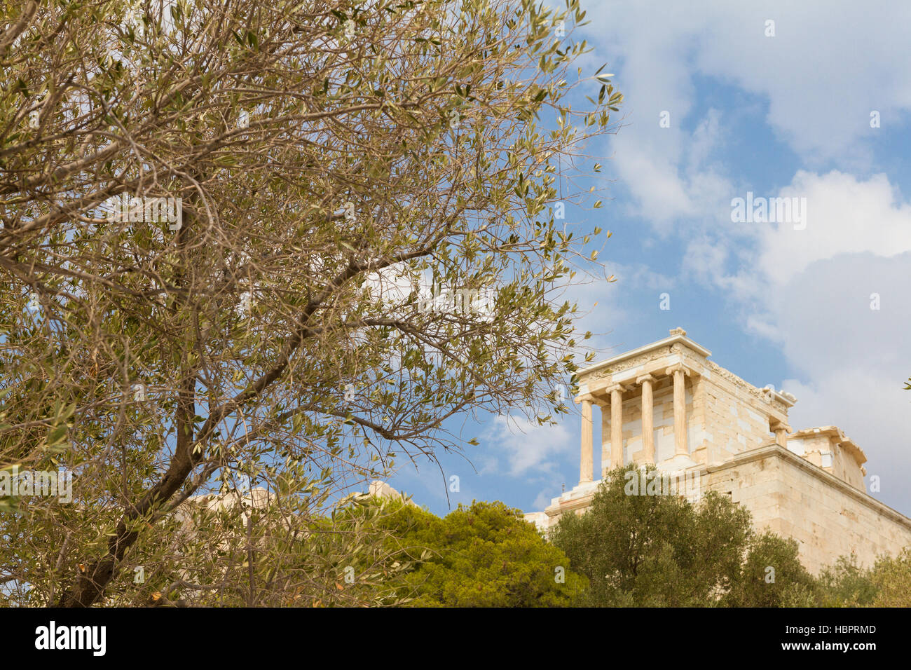 The Acropolis of Athens in Greece behind an olive tree photographed from a low perspective Stock Photo