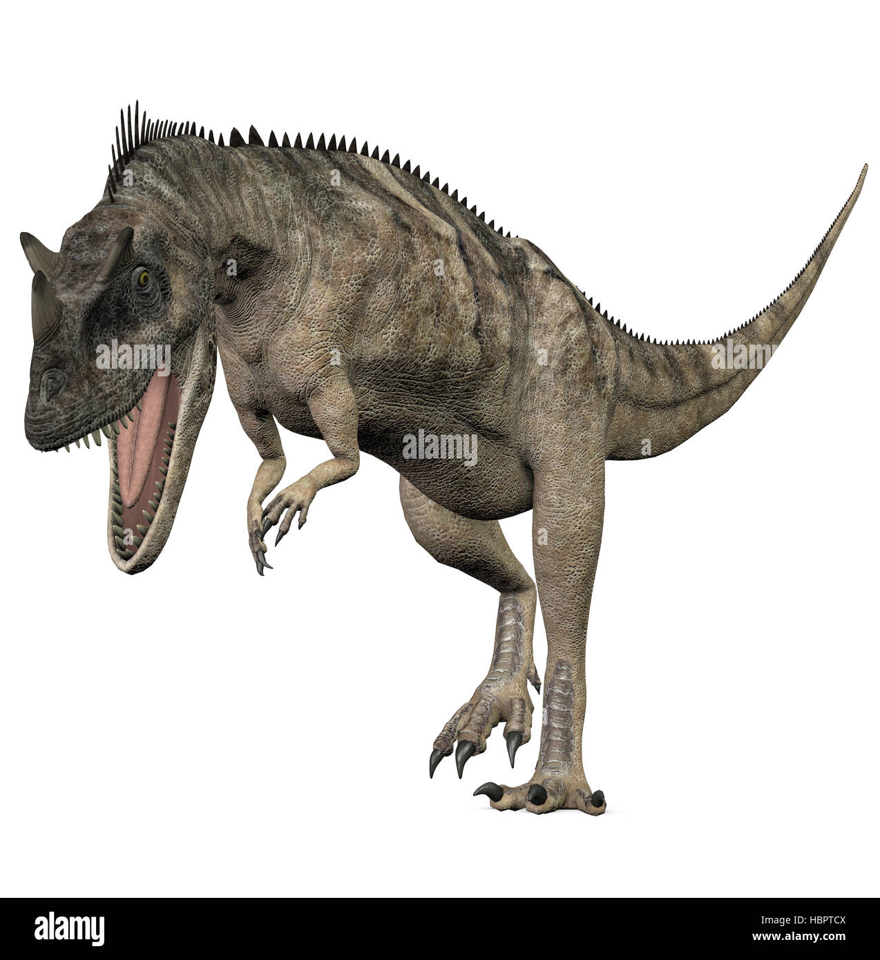 Ceratosaurus Stock Photo