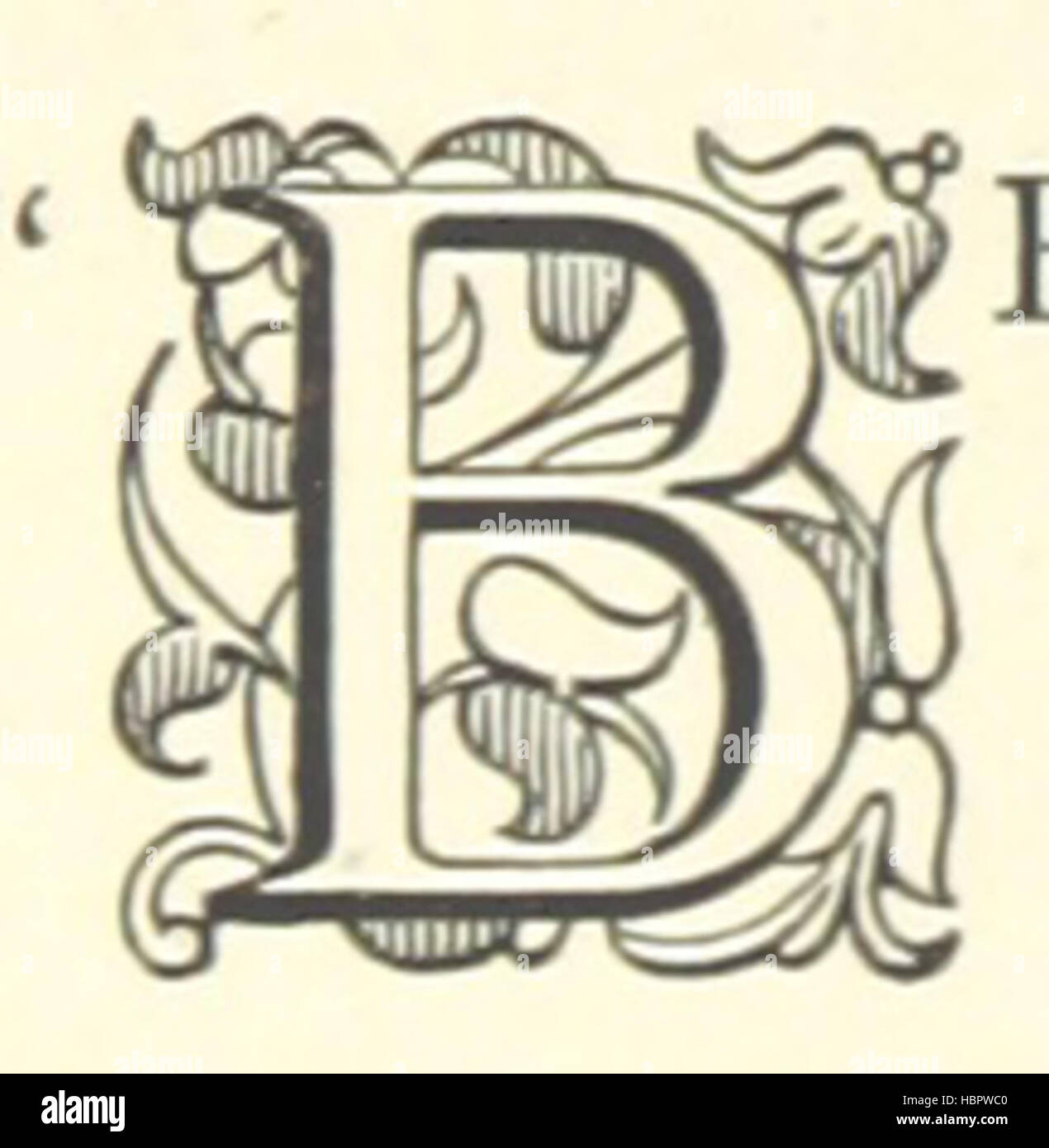 Image taken from page 42 of 'The Annals of the Parish of Swainswick, etc' Image taken from page 42 of 'The Annals of the Stock Photo