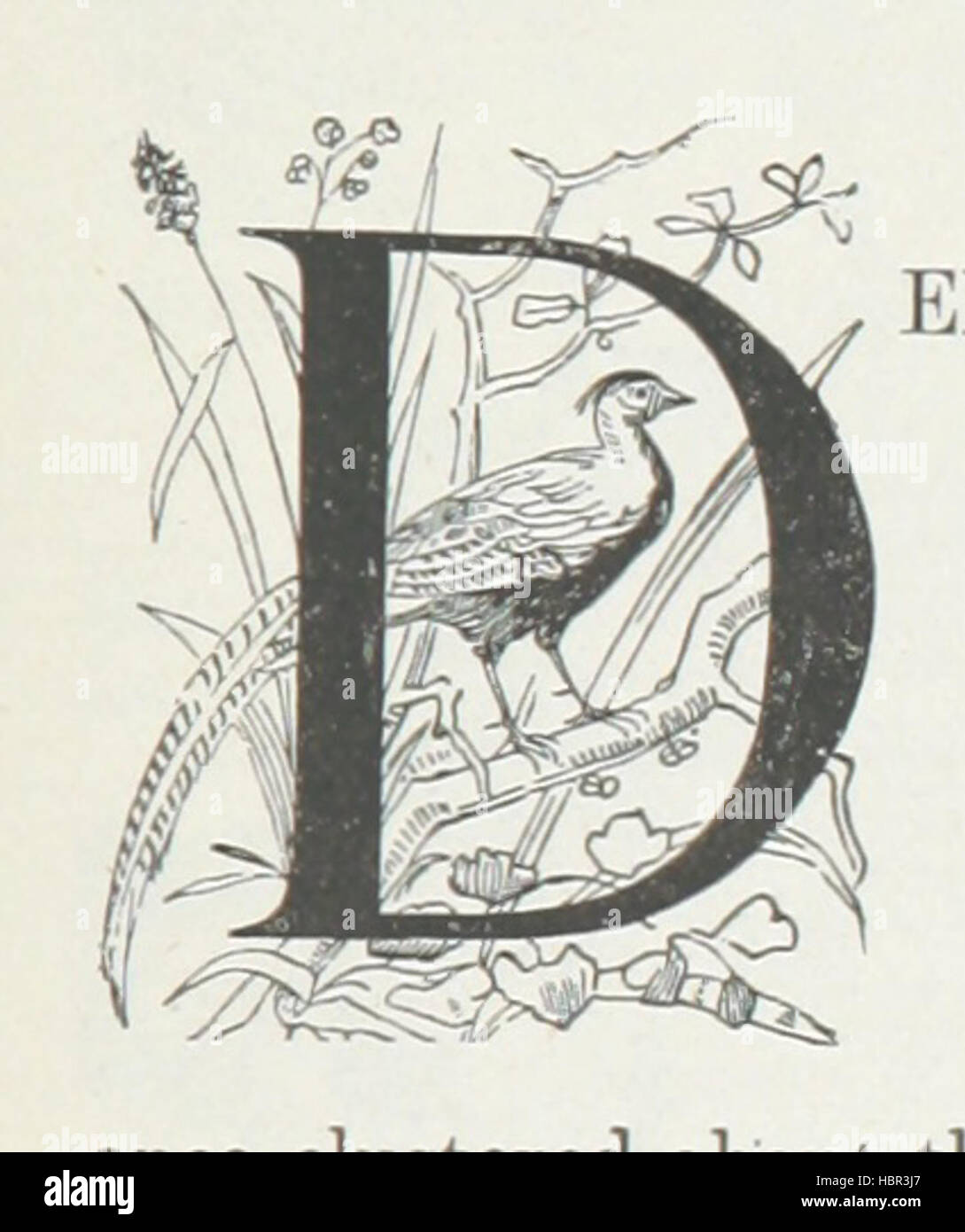 Image taken from page 249 of 'Annals of Hyde and district. Containing historical reminiscences of Denton, Haughton, Dukinfield, Mottram, Longdendale, Bredbury, Marple, and the neighbouring townships. [Illustrated.]' Image taken from page 249 of 'Annals of Hyde and Stock Photo