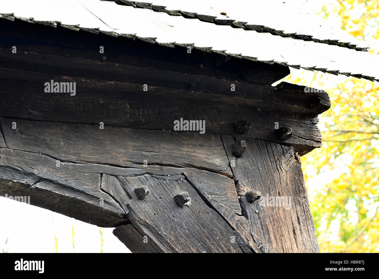 old door with oak wood, beautiful woodwork engraved with an inscription ...