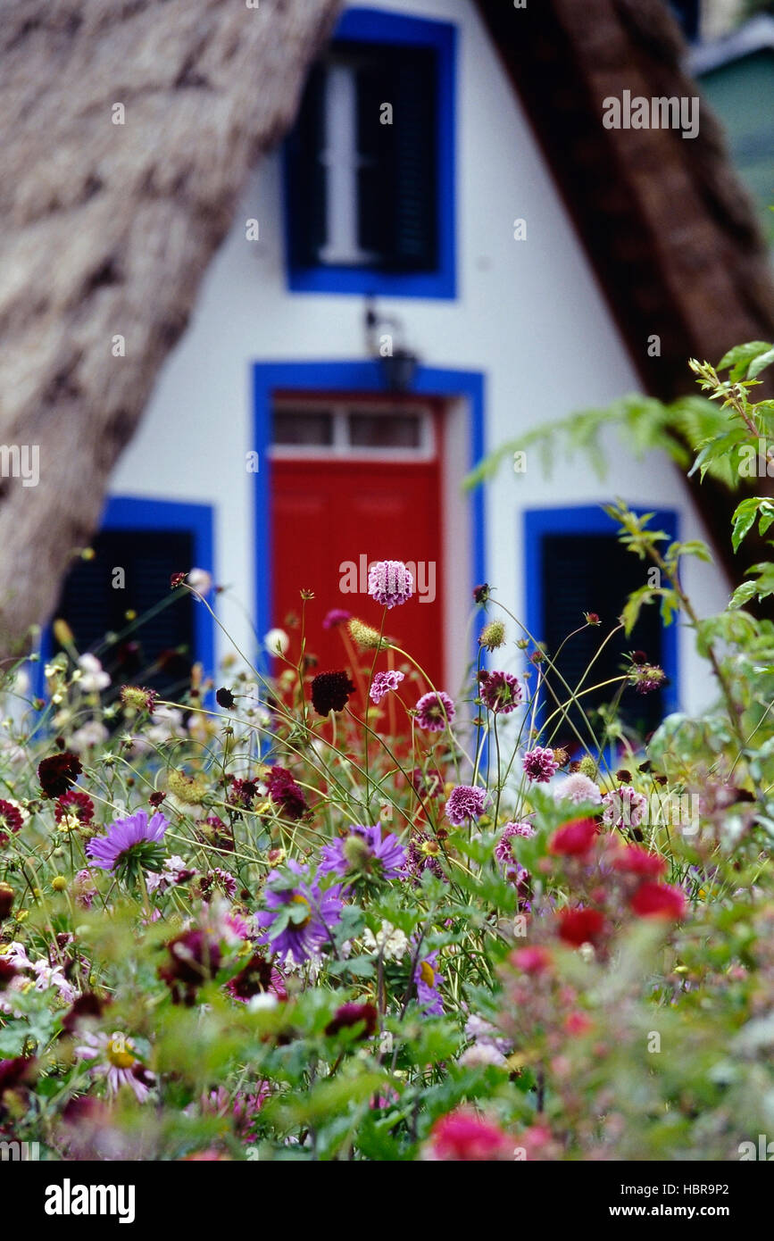 Thatched A Frame Traditional thatched A frame house Santana, Madeira. Portuguese island ...