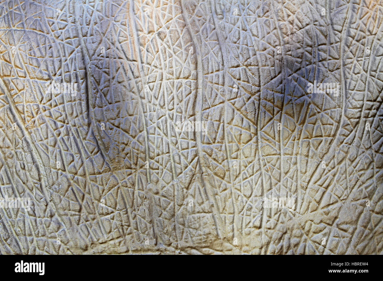 Animal skin texture hi-res stock photography and images - Alamy