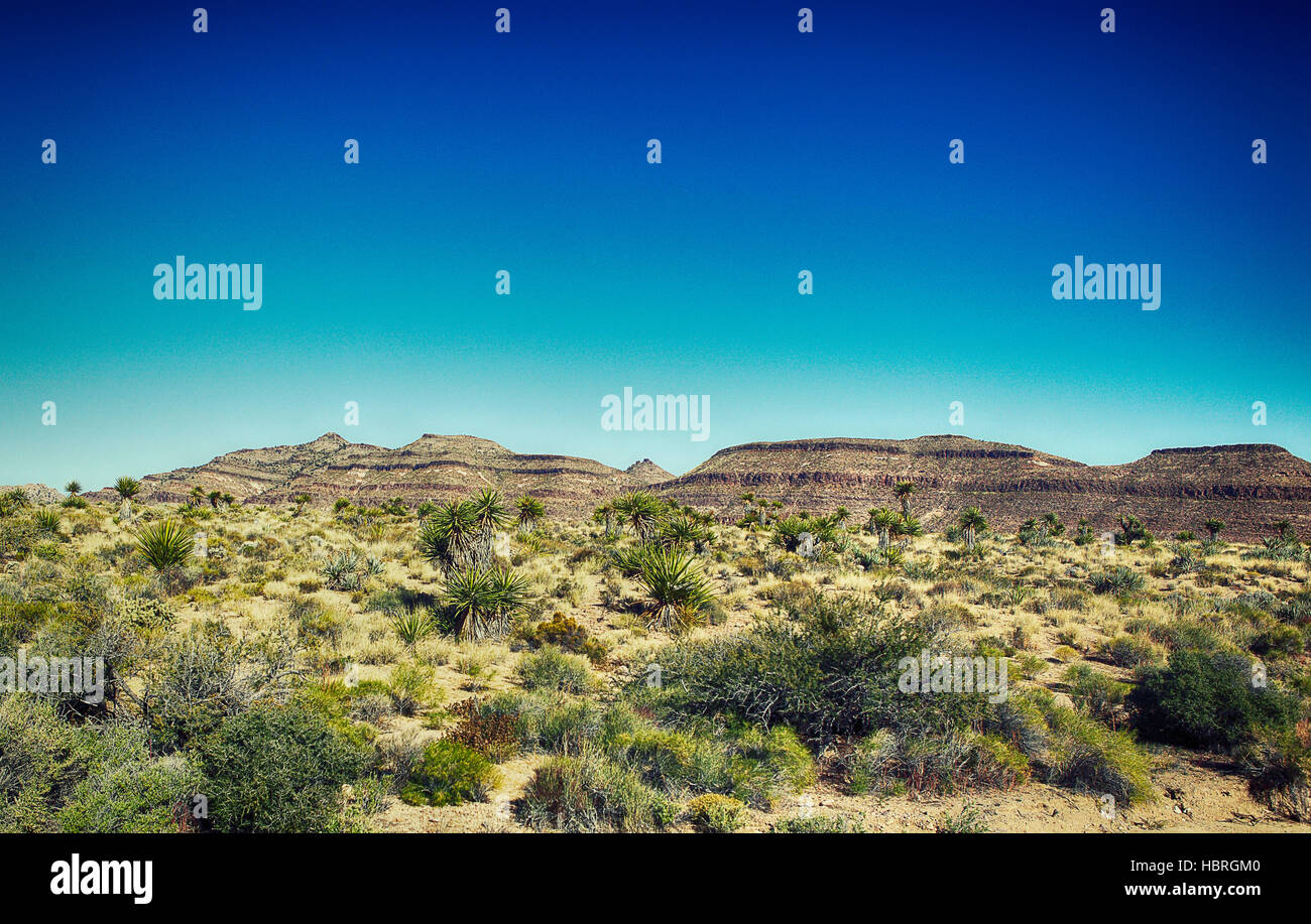 desert in california Stock Photo Alamy