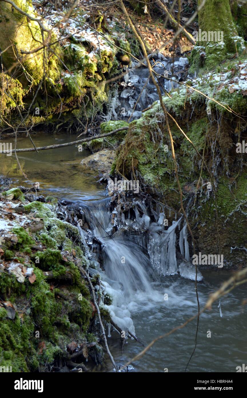 Small brook to freeze in the forest Stock Photo - Alamy