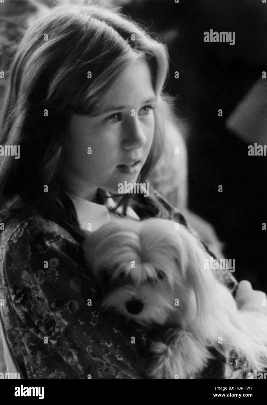 FOR THE LOVE OF BENJI, Benji, Cynthia Smith, 1977 Stock Photo - Alamy