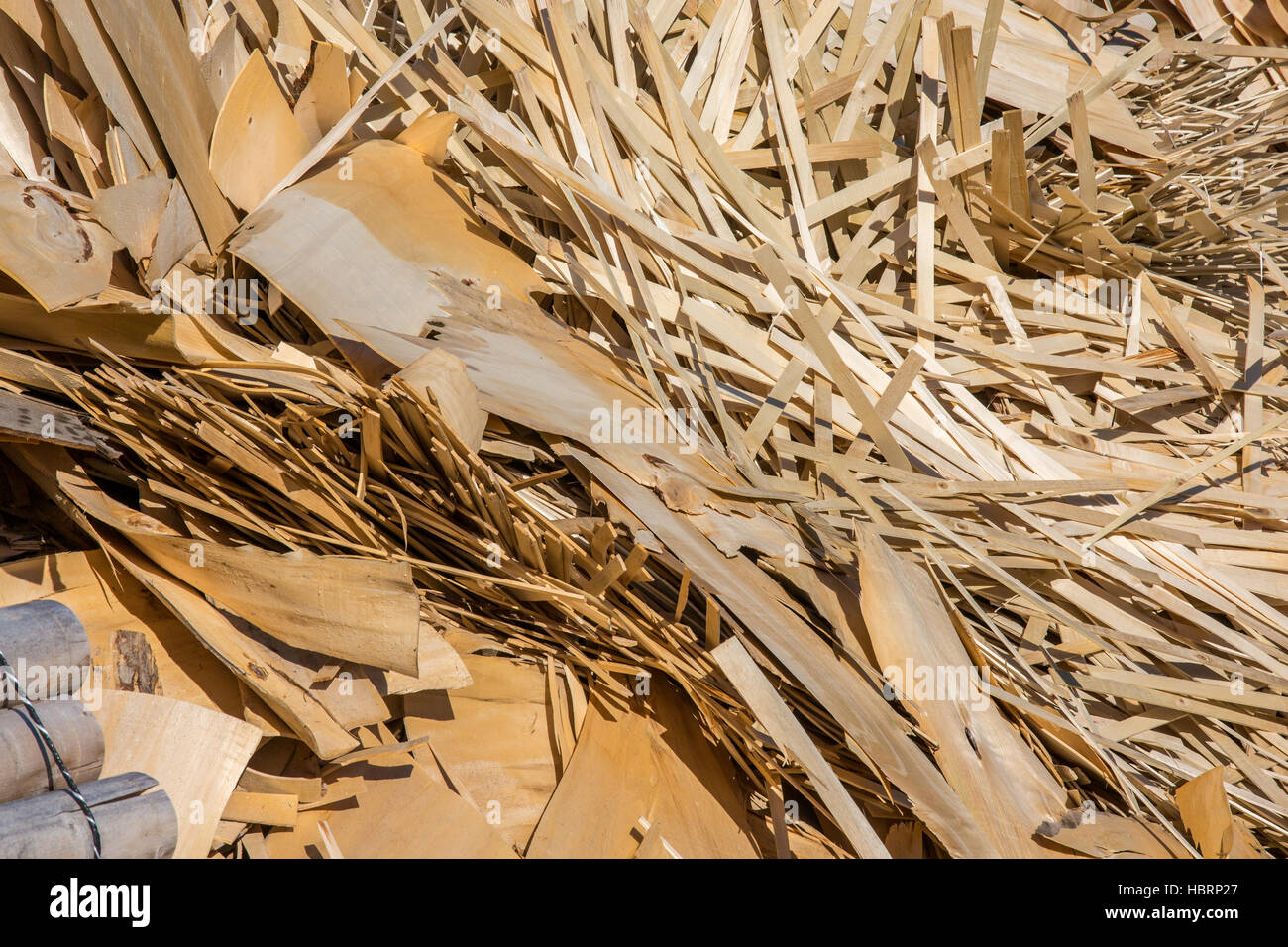 processed wood waste and wood shavings Stock Photo Alamy
