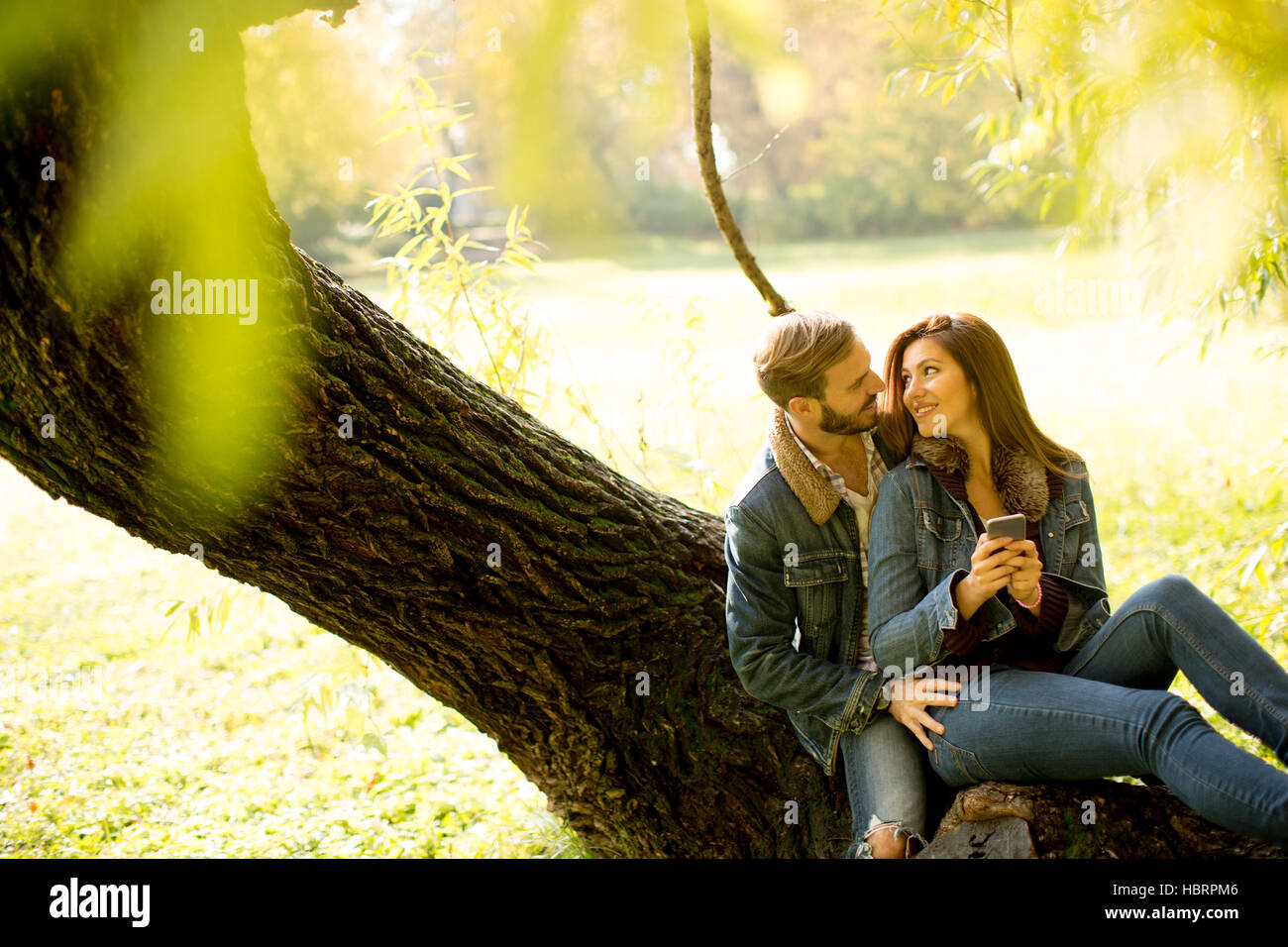 Couple in love sitting on a tree in autumn park Stock Photo