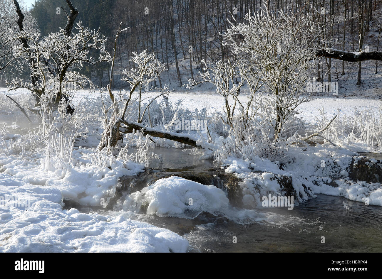 Brühlbach beim Uracher Wasserfall im Winter Stock Photo