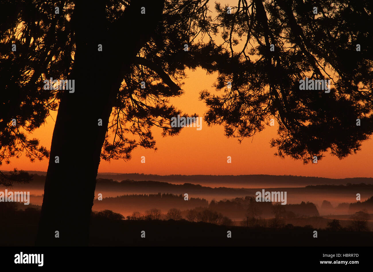 Sonnenaufgang auf der Schwaebischen Alb Stock Photo