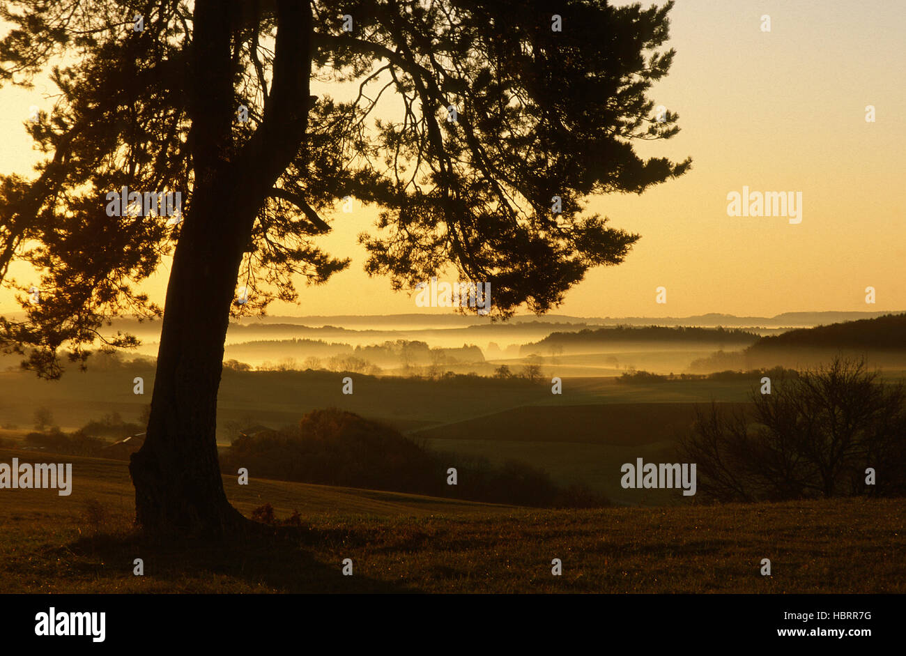 Sonnenaufgang auf der Schwaebischen Alb Stock Photo