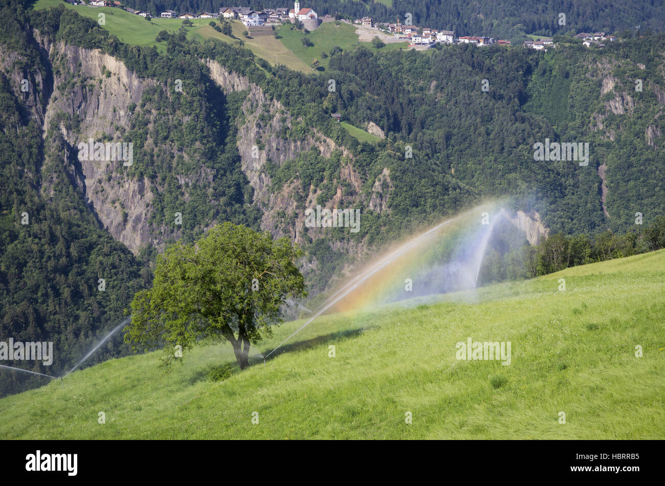 Organic Agriculture in South Tyrol Stock Photo