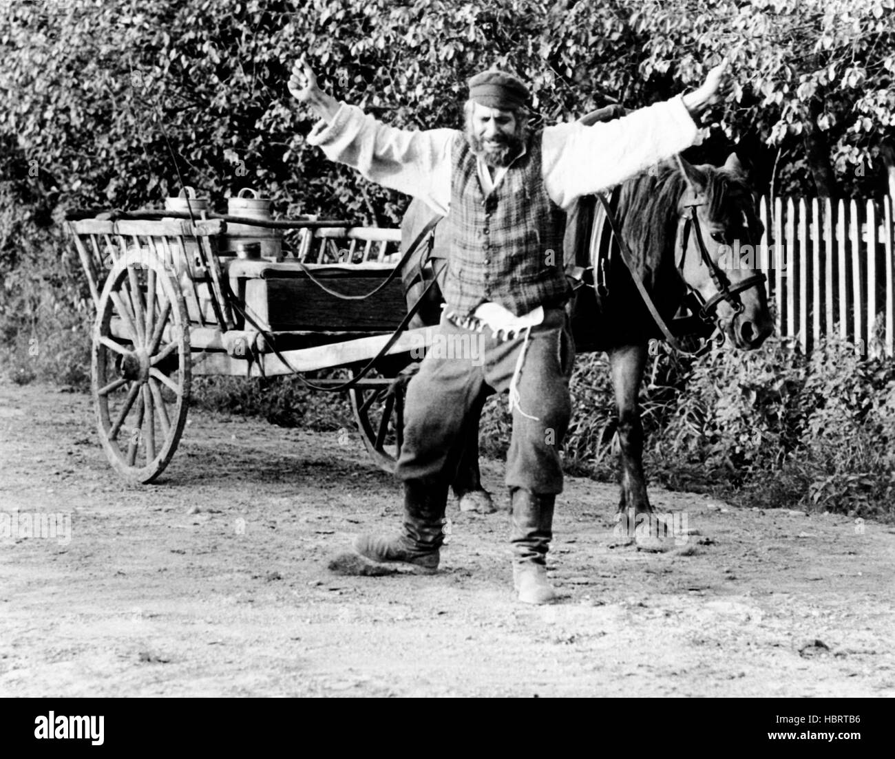 FIDDLER ON THE ROOF, Topol, 1971 Stock Photo - Alamy
