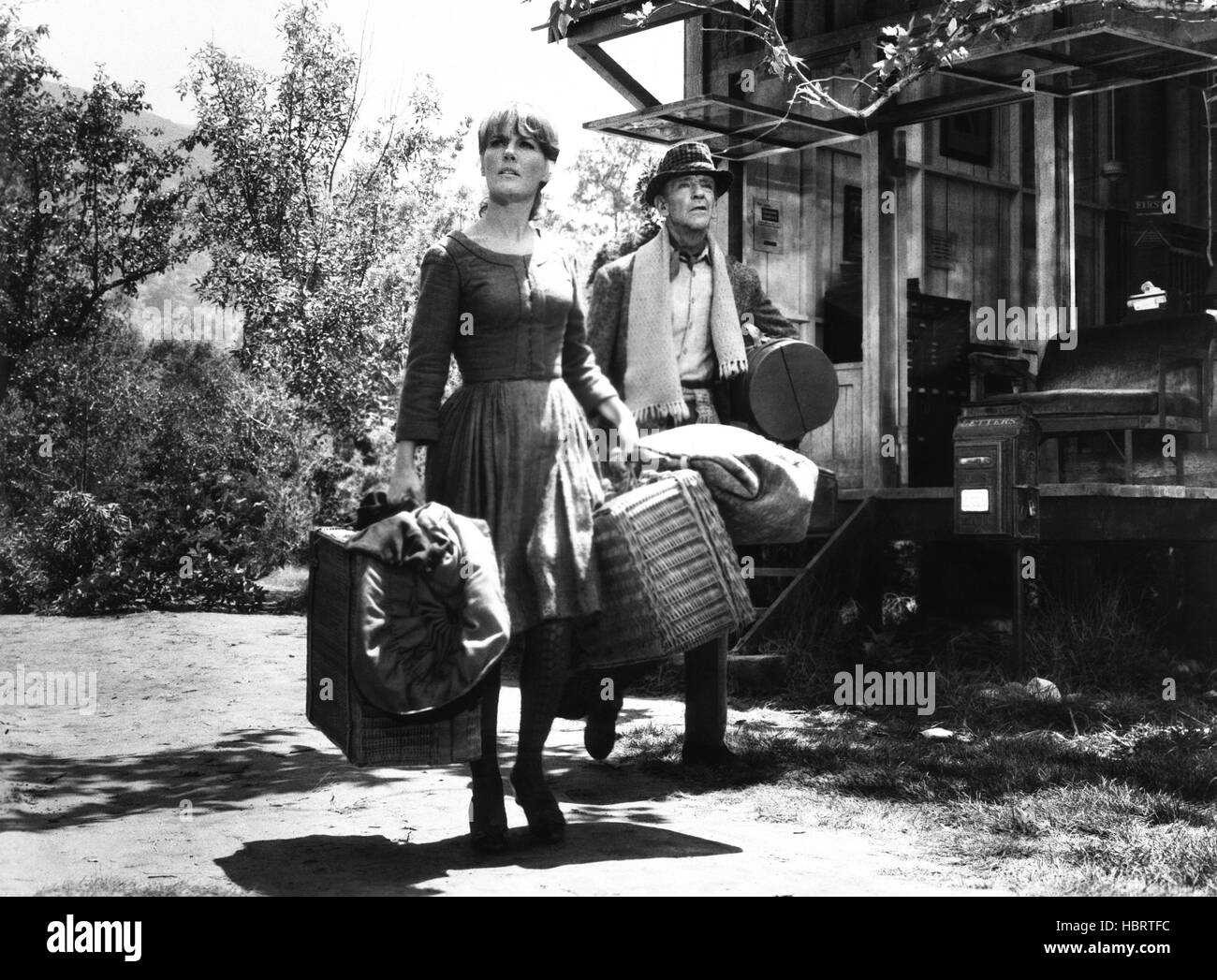FINIAN'S RAINBOW, from left Petrula Clark, Fred Astaire, 1968 Stock Photo Alamy