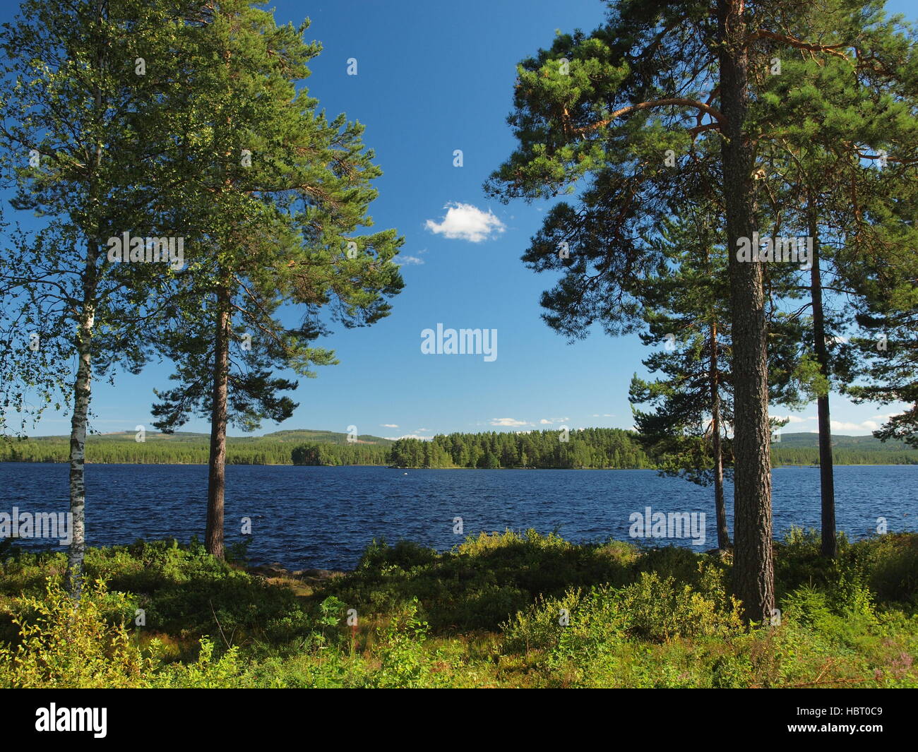 Lake in Värmland near Hagfors in Sweden Stock Photo