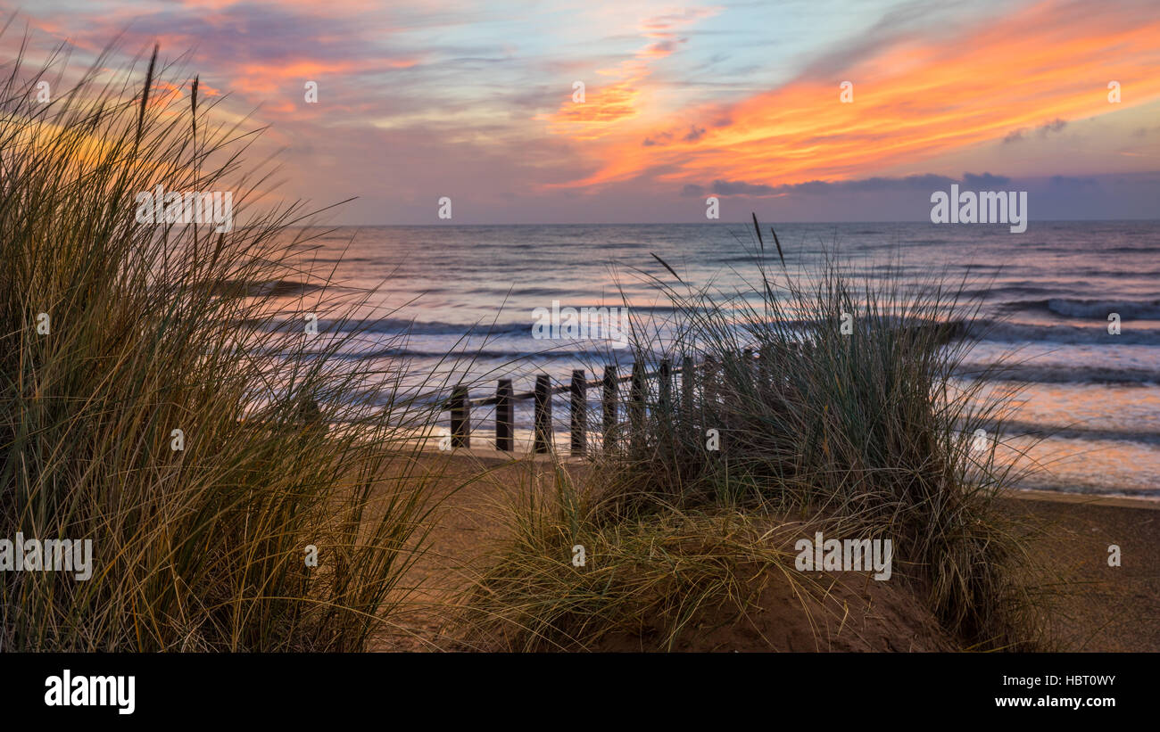 Sand dunes at sunset Devon Stock Photo