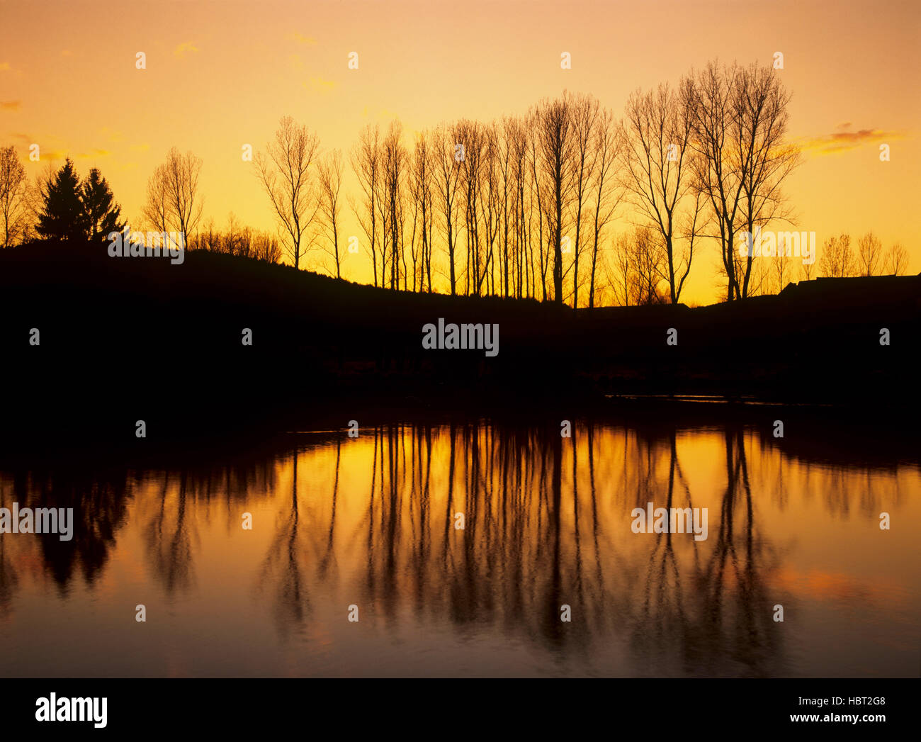 Village pond in Rehbach in the Odenwald, Hesse, Germany Stock Photo