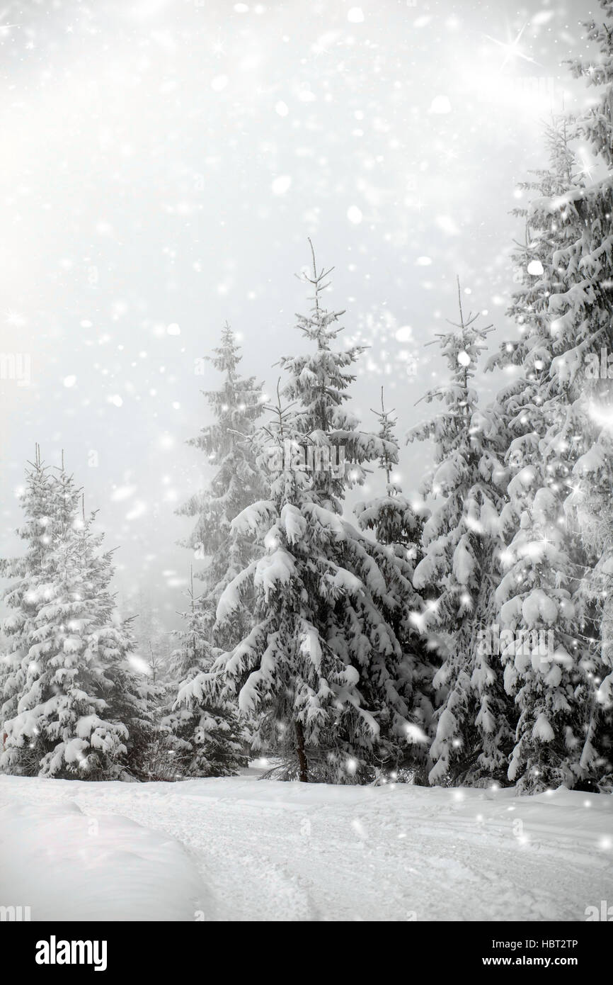 Christmas background with snowy fir trees and snowfall Stock Photo - Alamy