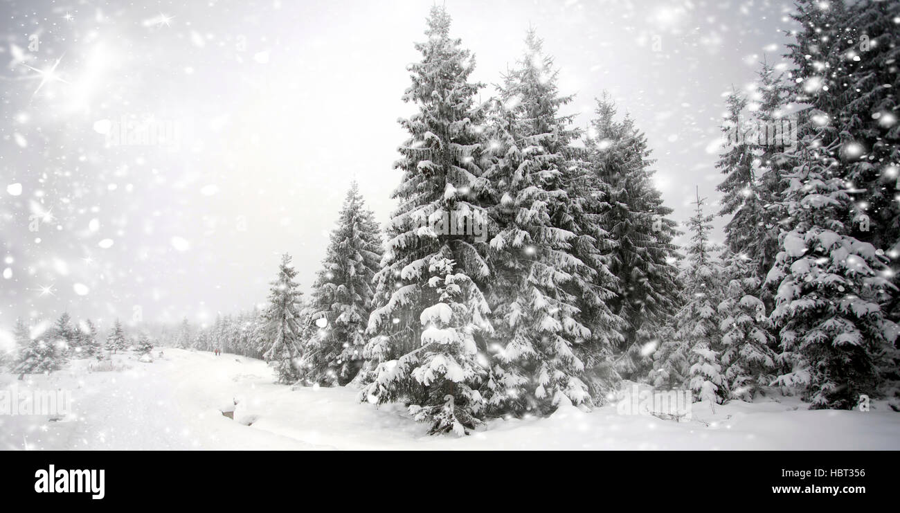 Christmas background with snowy fir trees and snowfall Stock Photo - Alamy