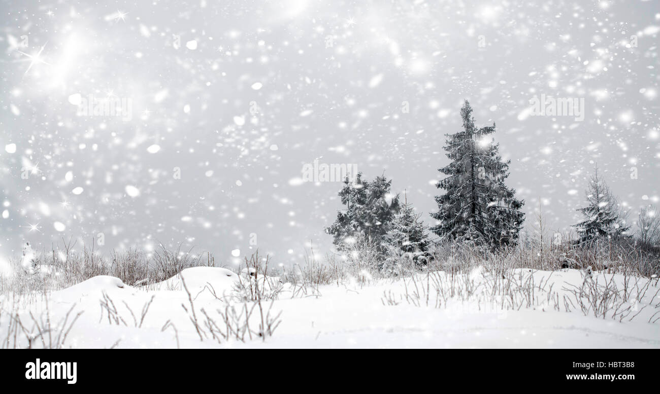 Christmas background with snowy fir trees and snowfall Stock Photo - Alamy