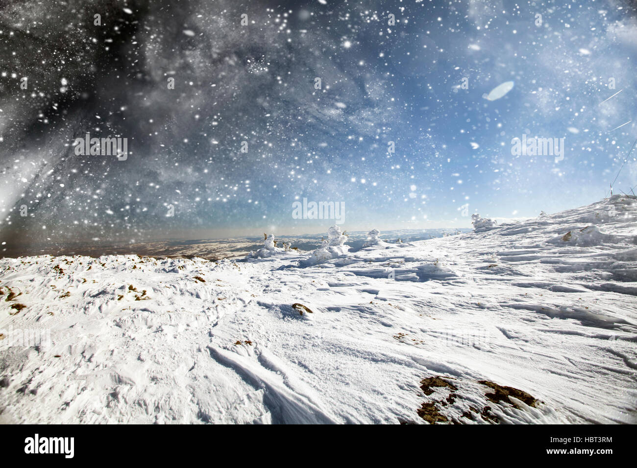 Christmas background with snowy fir trees and snowfall Stock Photo - Alamy