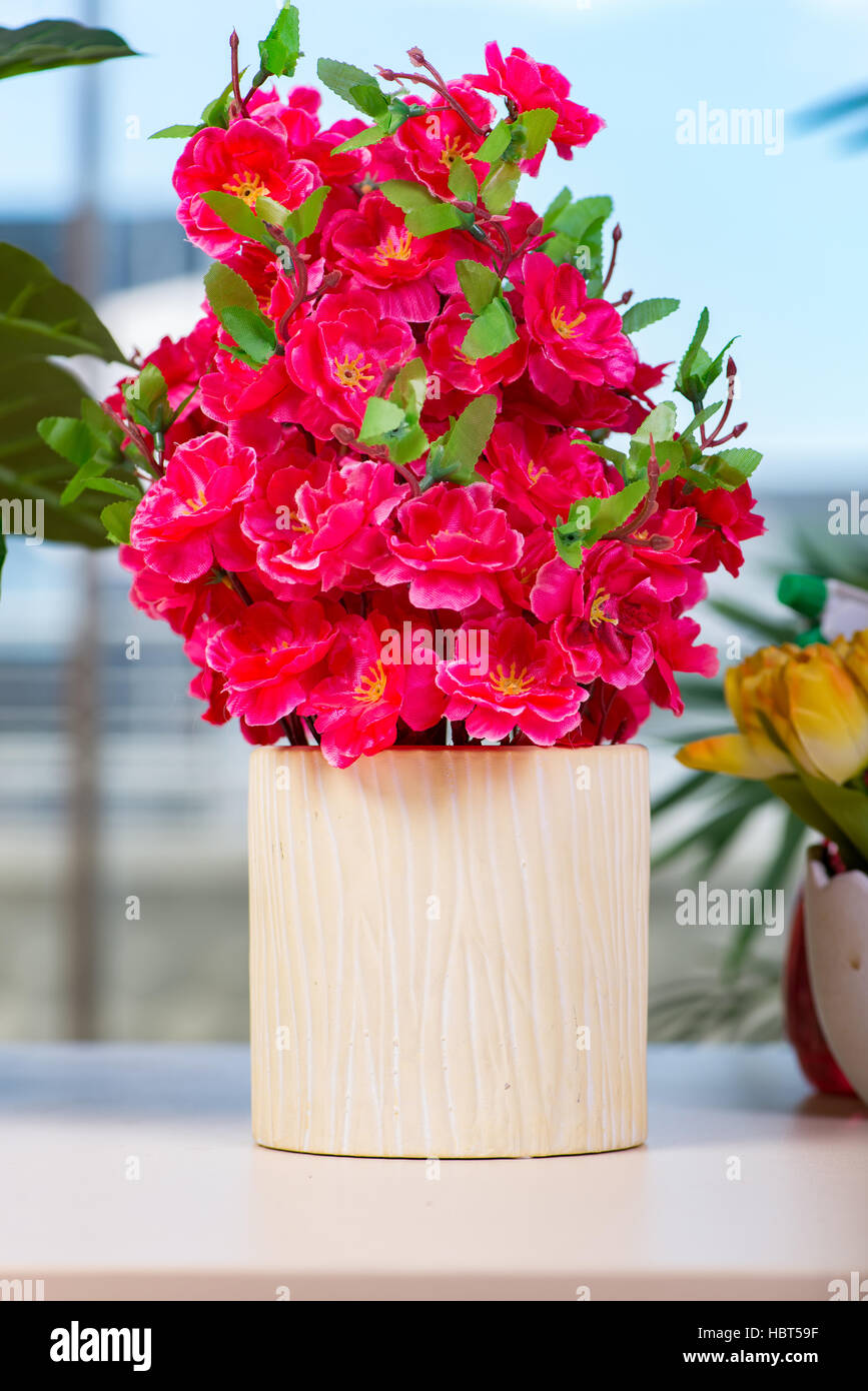 Flowers in the pot at home Stock Photo Alamy